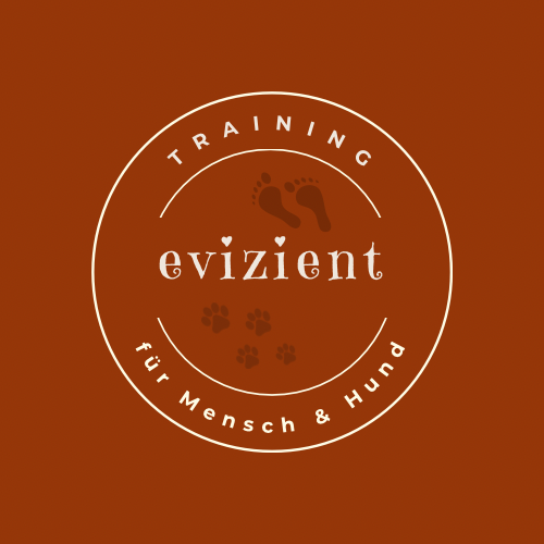 Mensch & Hund Training für ein entspanntes Miteinander